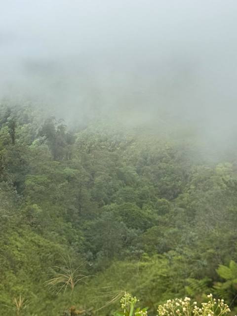 Foto del Viernes 2 de octubre