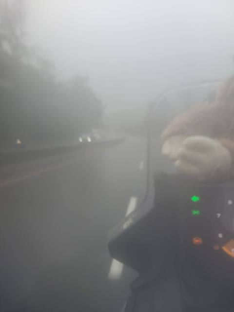 Foto del Viernes 2 de octubre